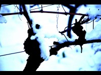 La Côte d'Azur enneigée ... on y était !