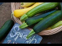La courgette : une mine de bienfaits