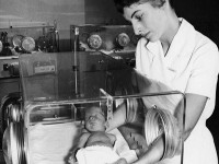 La couveuse : histoire d'une invention