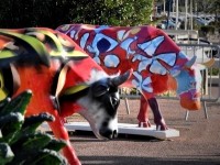 La Cow Parade : une sortie vachement ludique à Cannes