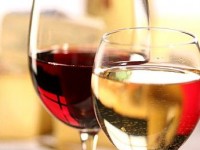 La dégustation du vin : présentation et vocabulaire technique