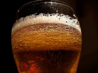 La fermentation : définition et applications