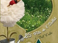 La Fête de l'Oeillet : un événement fleuri à Falicon