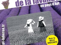 La Fête de la lavande en Pays d'Apt