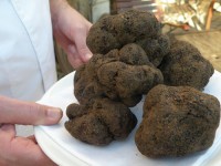 La Fête de la truffe : un événement gourmand à Colomars