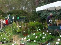 La Fête des jardins de Valbonne : une foire aux plantes méditerranéennes
