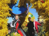 La Fête du Mimosa de Mandelieu La Napoule : le programme 2024