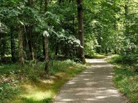La forêt de Rambouillet : le paradis des randonneurs