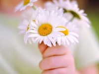 La Journée de la gentillesse : une initiative mondiale