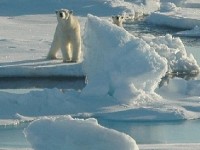 La Journée de la Terre : un rendez-vous planétaire le 22 avril
