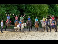 La Journée du Cheval : initiations et animations pour tous