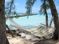 La Journée internationale de la lenteur : le 21 juin, prenez le temps !