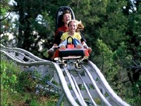 La luge sur rail : des sensations fortes en toute saison