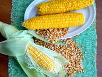 La lutte contre la pauvreté et la faim : le premier des OMD