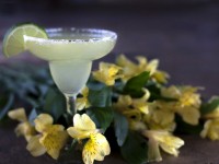 La margarita : les secrets du célèbre cocktail