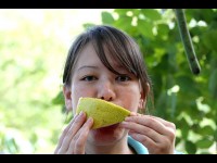 La naturopathie en 10 questions