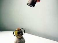 La Nuit des chercheurs : une manifestation ludique et savante