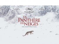 La Panthère des neiges : le film événement réalisé par Vincent Munier