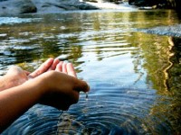 La Passiflore : une association locale de protection de l'environnement