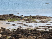 La pêche à pied : 5 règles d'or à respecter