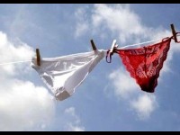 La petite culotte : histoire et évolutions