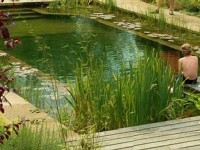 La piscine naturelle : présentation et avantages