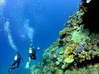 La plongée sous-marine : comment s'initier ?