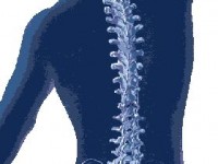 La posturologie : une solution contre les douleurs chroniques