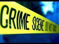 La profession de profiler : présentation et statut