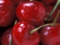 La queue de cerise : un diurétique naturel