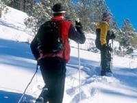 La randonnée à raquettes : présentation et histoire