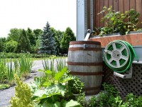 La récupération de l'eau de pluie en 5 questions