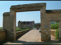 La route des vins de Bourgogne : à la découverte d'un vignoble prestigieux