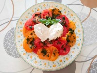 La salade de tomates et burrata : une recette facile