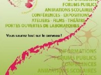 La Semaine du cerveau : des animations sur le fonctionnement du cerveau