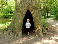 La sylvothérapie ou les bienfaits de la forêt
