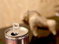 La taurine : le nouveau secret pour vivre plus longtemps en bonne santé ?