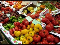 La tomate : histoire et anecdotes