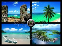 LA valeur refuge en temps de crise : L'immobilier en Outre-mer