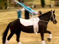 La voltige équestre : une discipline spectaculaire