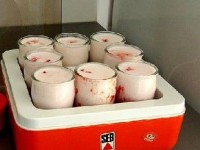 La yaourtière : mode d'emploi