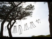 Land Art sur l'île Sainte-Marguerite : des créations entre terre et mer