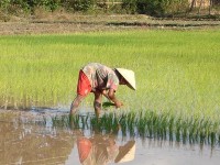 Laos : 3 villes à découvrir absolument