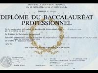 Le bac pro : guide pratique