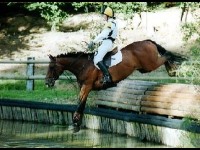 Le BEES, Brevet d'Etat d'Educateur Sportif : présentation et formation