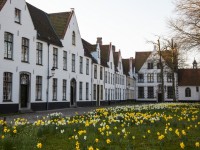 Le béguinage : une solution de logement pour les seniors