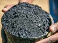 Le biochar : solution miracle pour l'environnement ?