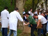 Le bizutage : que dit la loi ?