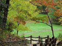 Le calendrier de jardin : les travaux à faire saison par saison