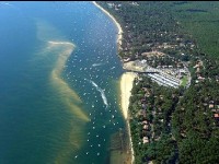 Le Cap Ferret : une destination nature